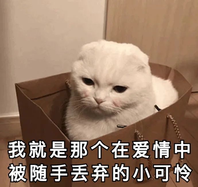 "今日表情包"一百张超火表情包 连我都哄不好你哄什么