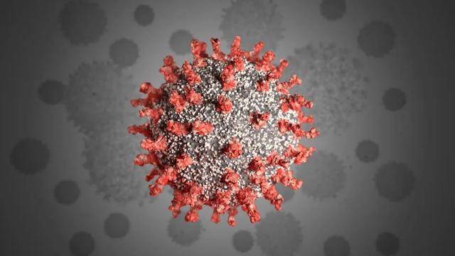 单珊 据美国有线电视新闻网(cnn)7月2日报道,一种新型突变的冠状病毒