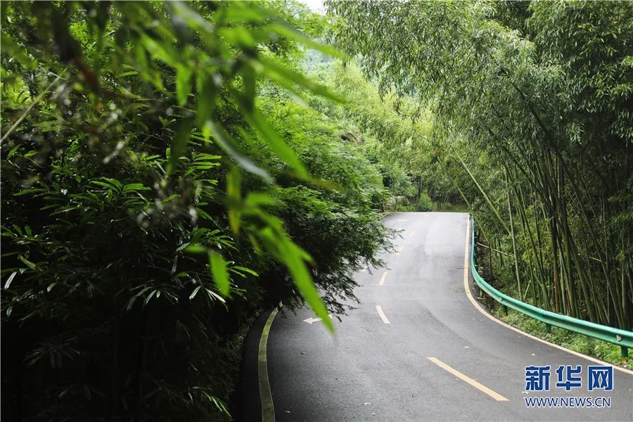 从"黑"向"绿"的嬗变——梁平竹海村庄"变形记"