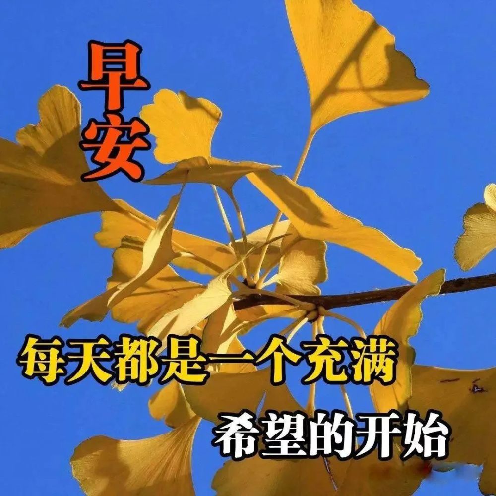 星期六阳光暖心的早上好祝福语,夏天清晨问候朋友表情