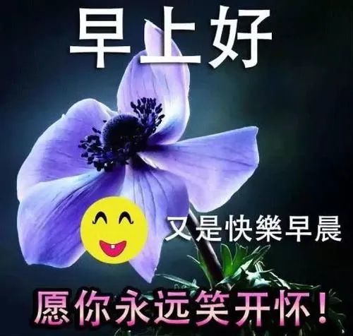 早上好特别漂亮的祝福表情图片,适合夏天发朋友圈的
