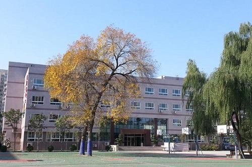 看看苟晶的毕业照，你怎么能说我是野鸡学校？