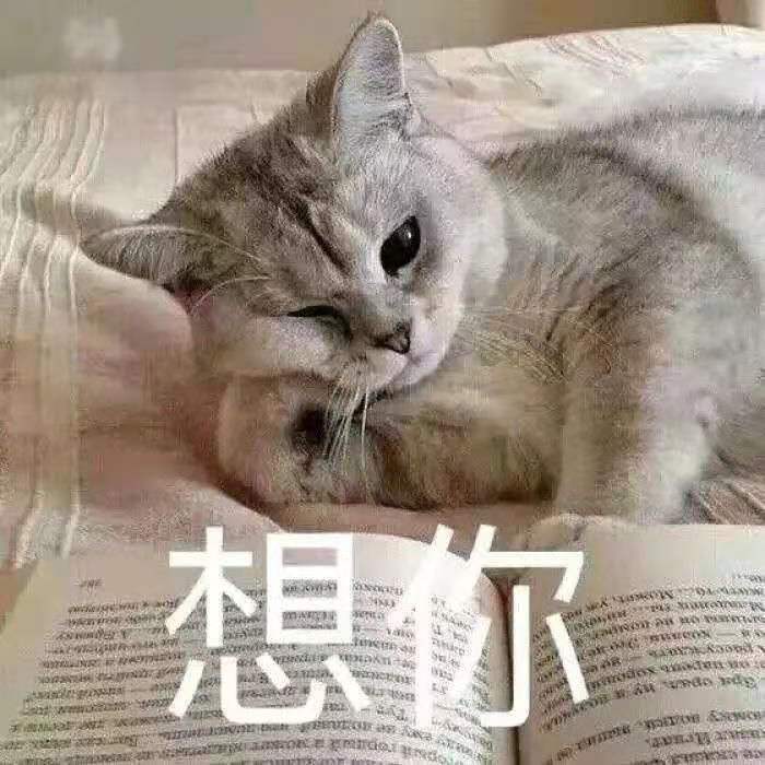 猫咪表情包:你好好看看我是谁?