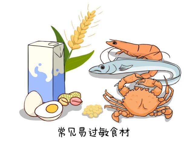 【爱优喂智育星球】家长必备,易过敏食材清单