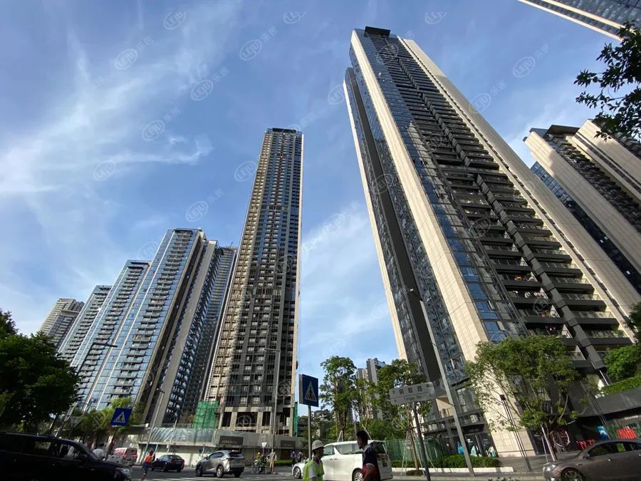 深圳楼市为什么这么火?