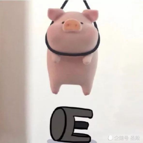 表情包‖可爱猪猪表情包