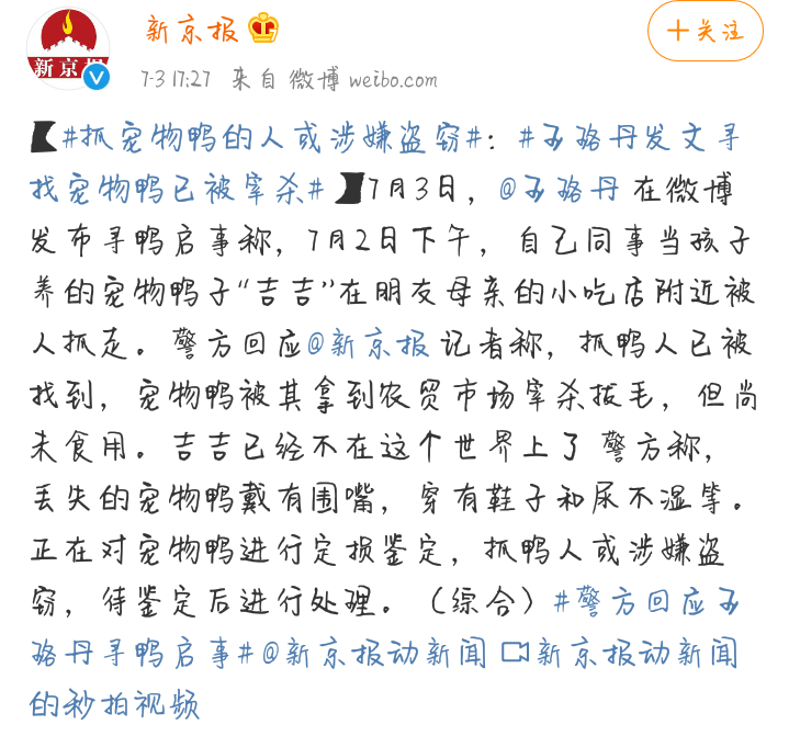 寒鸭少年简谱_迷路的小花鸭简谱(3)