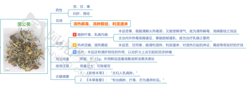 中药学福利8种清热解毒药的超清晰思维导图放送了