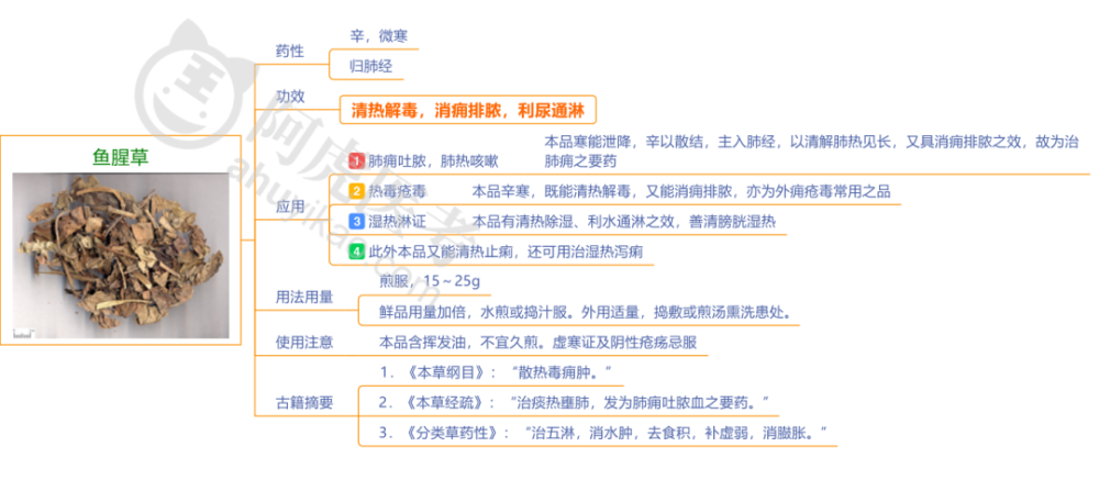 【中药学福利】8种清热解毒药的超清晰思维导图放送了