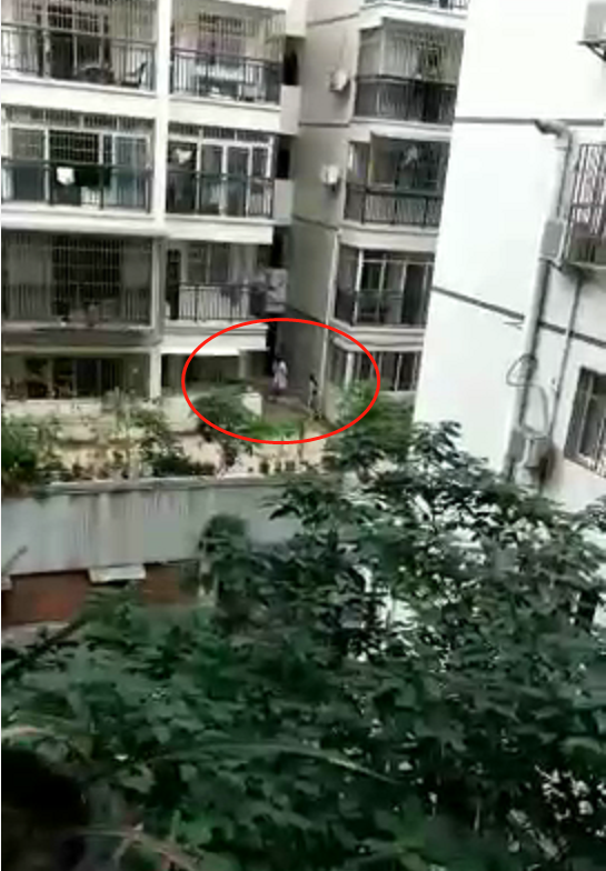 太惨达州一年轻女子坠楼身亡