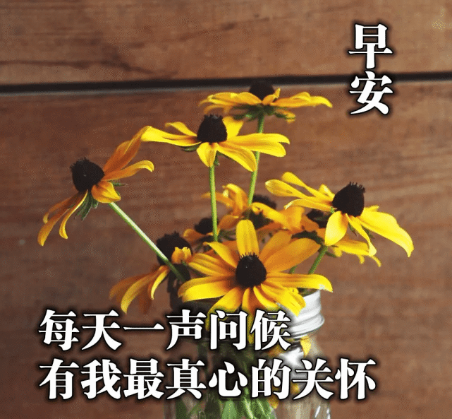 一个会心的微笑,抚平忧烦;一个默契的眼神,满含真诚;一份坦然的心态