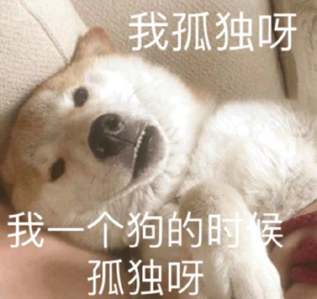 沙雕表情包l爱情这杯酒 谁喝都会醉