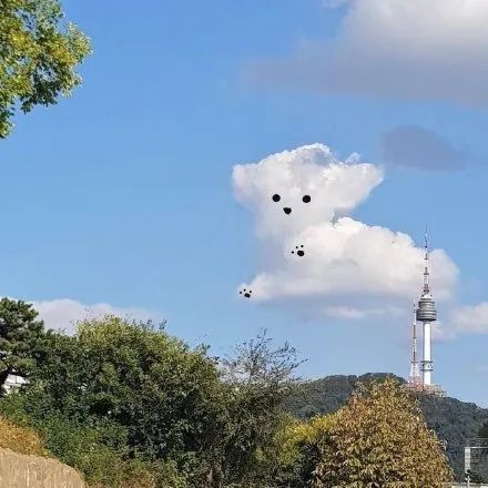 原来,云彩里藏了这么多可爱的狗狗