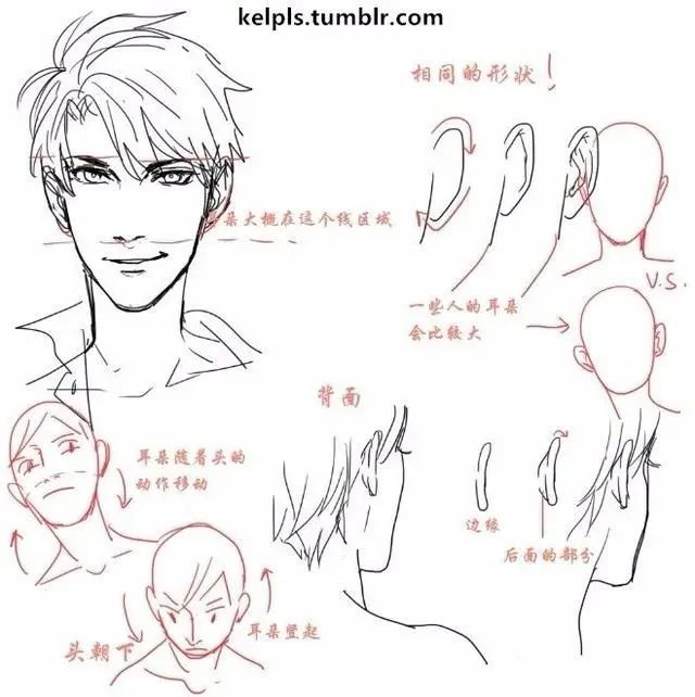 【耳朵脸型画法素材】3分钟,五官绘画技巧学起来