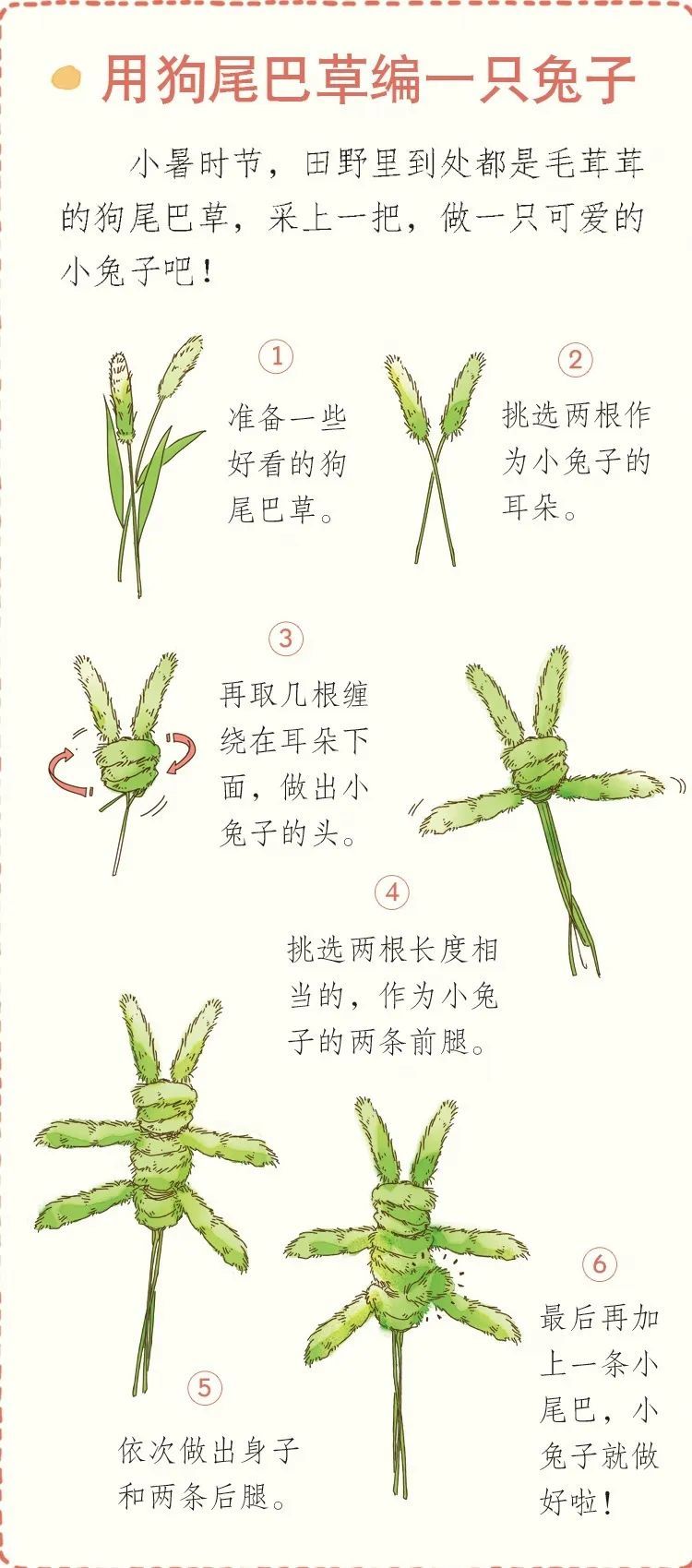 孩子们可以自己动手用狗尾巴草做一个可爱的小兔子,近距离体会夏天哦