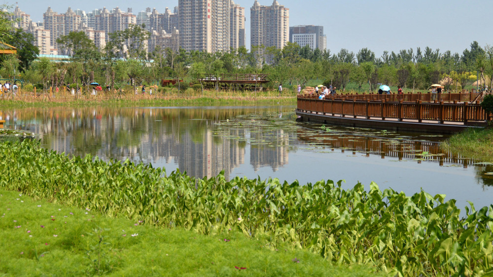 邯郸景观植物大观园——邯郸植物园向市民开放