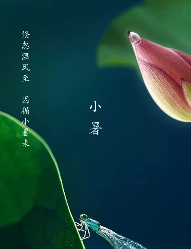 品 read 读 小暑,六月节.《说文》曰:"暑,热也.