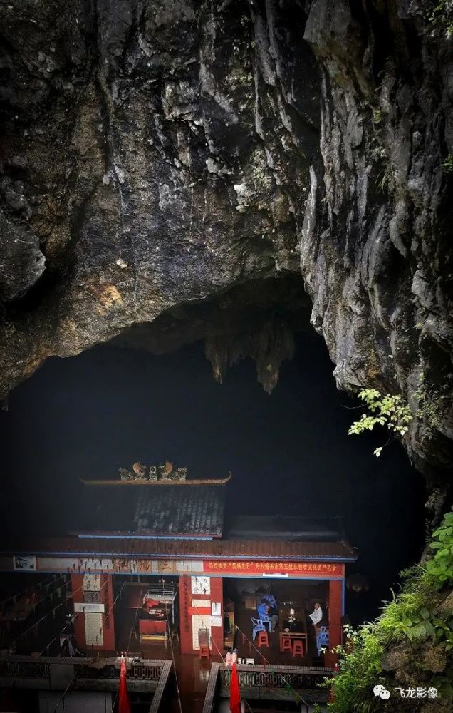 航拍通天箩,带你看地下森林!