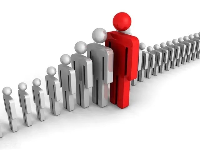 人口普查延迟退休_人口普查(2)