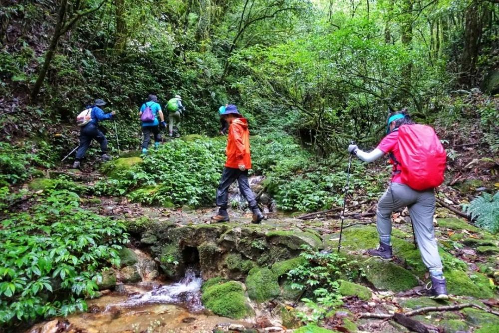 高黎贡山经典徒步 4 days