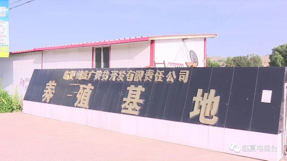 广河县:牛羊养殖专业化 产业运营实力强