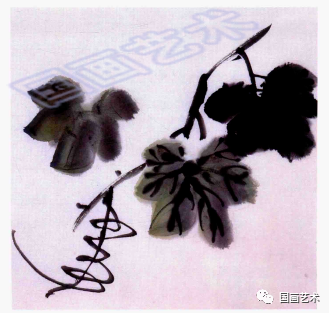 图文教程:几种藤本的写意画法
