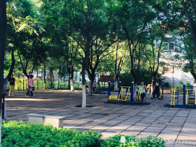霞光映照下的淸晨,人们在公园散步健身 (来自:老叮vlog日志)