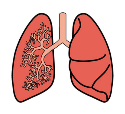 身体有4个表现,肺部已变"脏",若一个没有,恭喜,肺还很