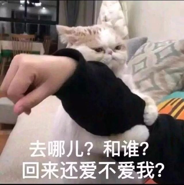 撒娇表情包:去哪?和谁?回来还爱不爱我!