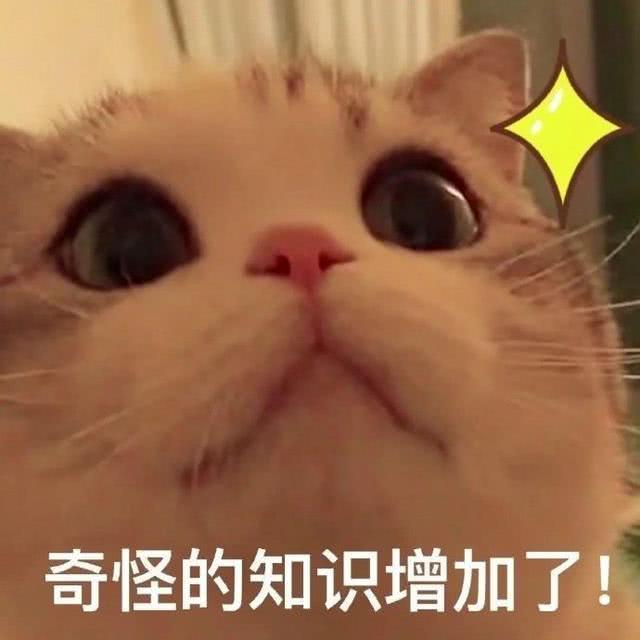 委屈表情包:流下不争气的眼泪