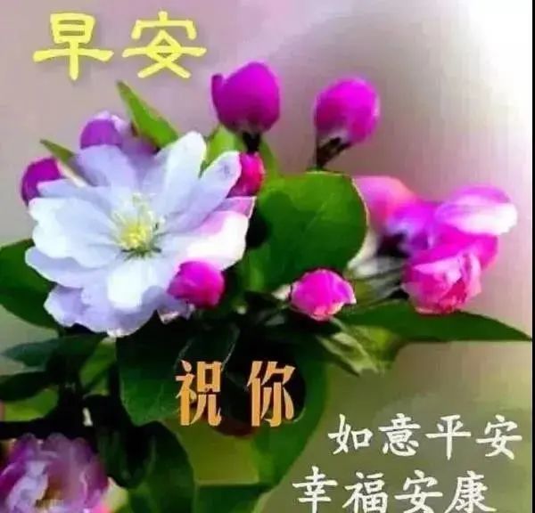 中老年表情包,愿你时时安好,天天幸福!