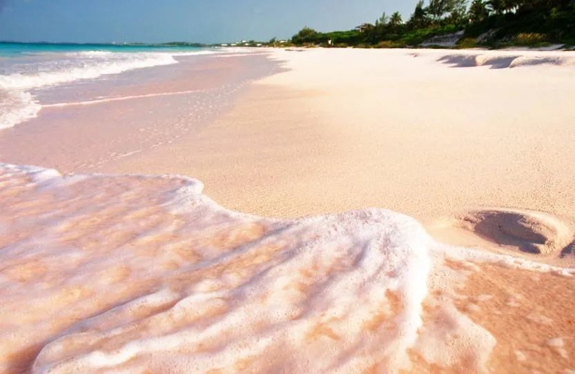 “后沙经济”还会托起多少拼多多？,拼多多,中国首富,黄峥,后浪