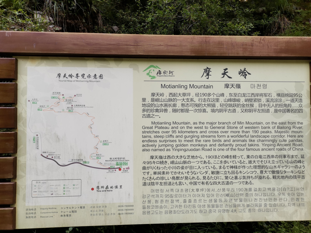 徒步广元唐家河阴平古道,登顶摩天岭,行走剑门蜀道感受三国文化