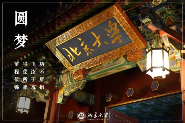 北京大学挺你!