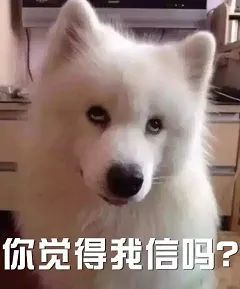 表情包差不多是一只废狗了