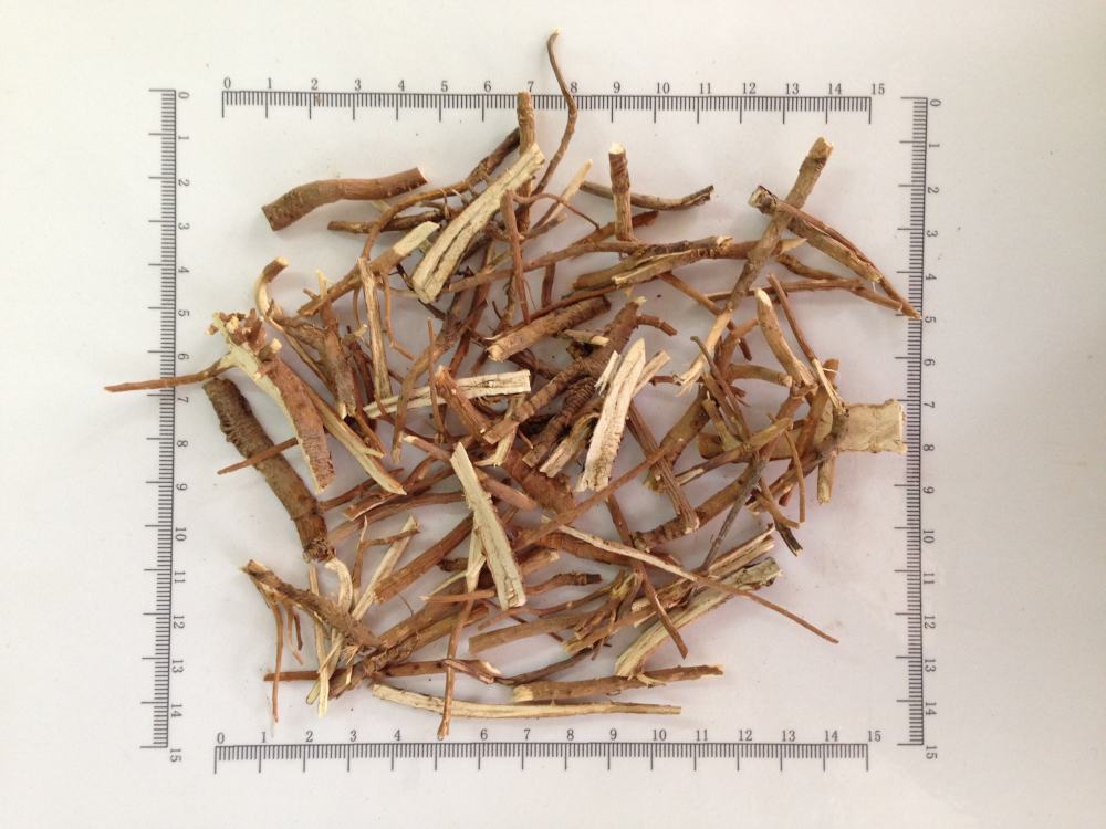 黄芪与这味中药泡水喝，可调理脾虚下陷所致症状，你知道吗