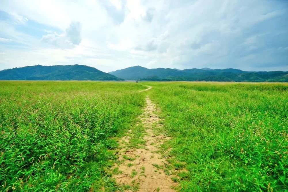 在哪遥远的小山村简谱_在那遥远的小山村(2)