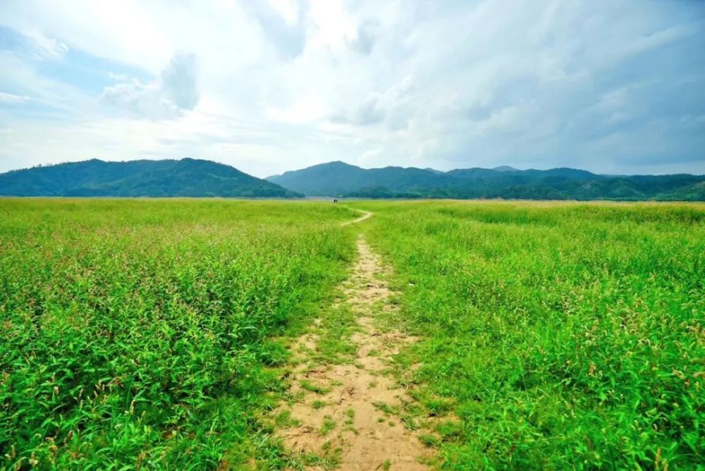 遥远的小山村简谱_在那遥远的小山村简谱