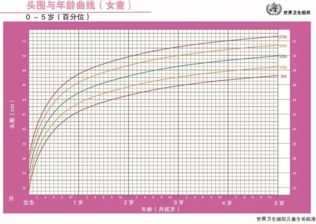 宝宝生长发育怎么看?身高体重头围这样测