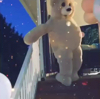 charming bear 表情包,熊 表情包 来源ins:charmingbear