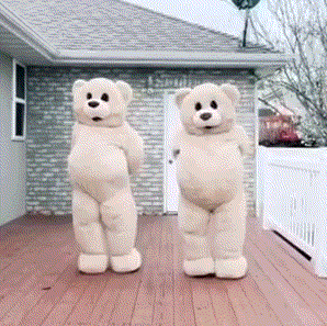 charming bear 表情包,熊 表情包 来源ins:charmingbear