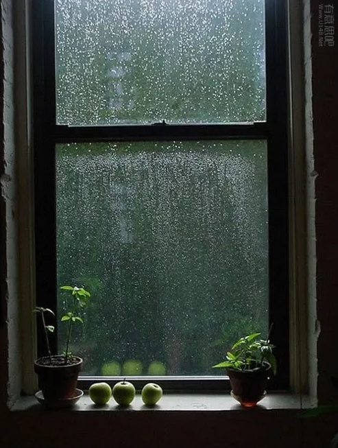 【诗词鉴赏】夏天的雨夜,雨夜的诗,带来了几丝凉意,几