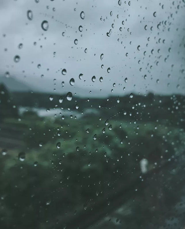 【诗词鉴赏】夏天的雨夜,雨夜的诗,带来了几丝凉意,几