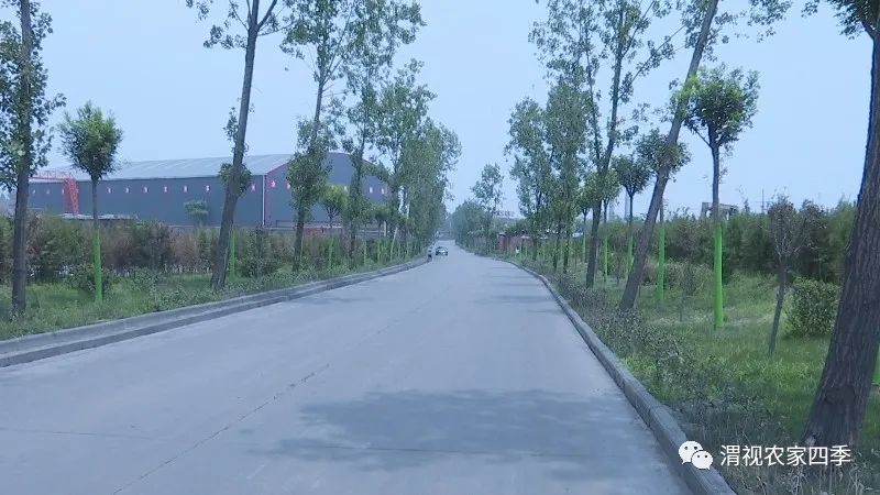 韩城市龙门镇:要让环境大变样