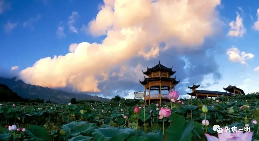 藏不住啦!三明这处美景上了新华社客户端,浏览量破百万