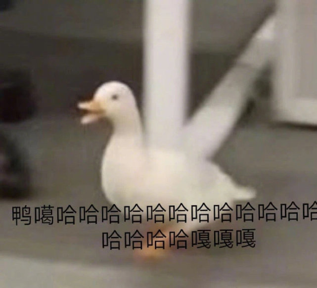 沙雕表情包l啊这