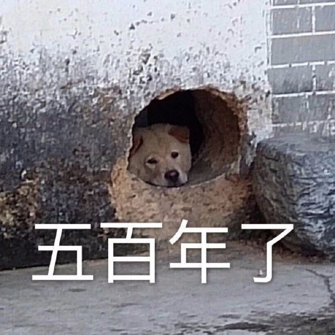 沙雕表情包l憨憨发呆