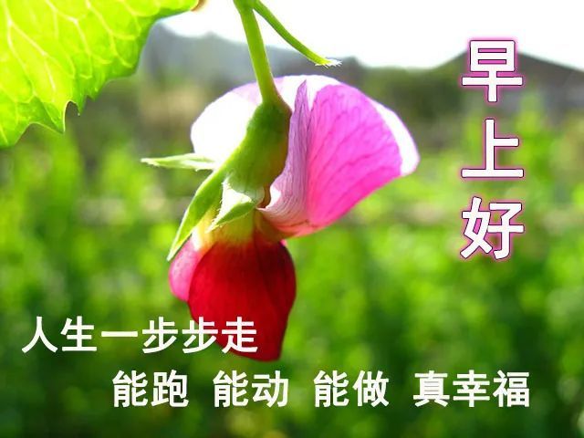 早上好的最佳图片2021 早上好问候语图片大全 朋友早上好祝福语