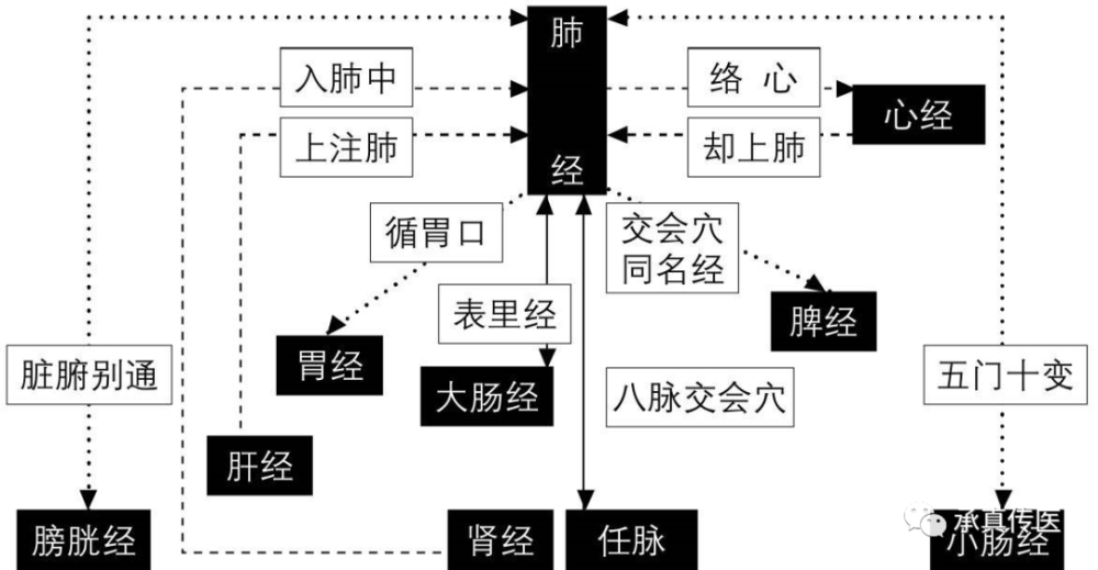 试以肺经为例, 图1为肺经与其他经络关系图.