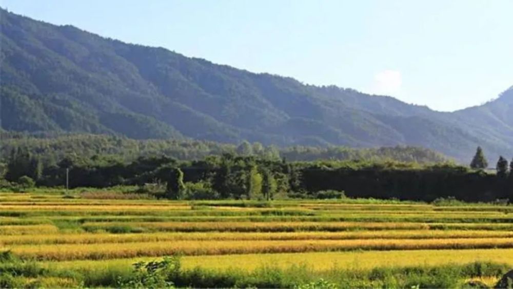 重建人口生态_人口普查(2)